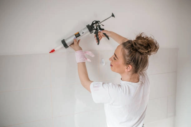 Construction Sealants